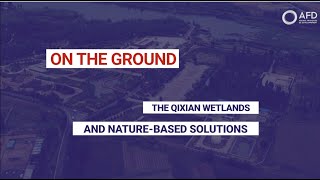 The Qixian wetlands and naturebased solutions [upl. by Cristionna]