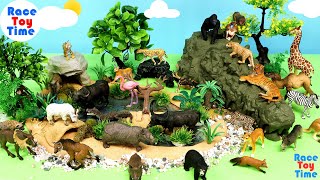 Herbivorous Carnivorous and Omnivorous Animals  Learn Animal Names [upl. by Gamal]