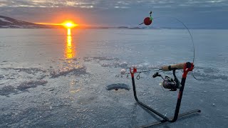 Isfiske på Mjøsa med gode venner [upl. by Ilzel]