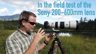 In The Field Review of the Sony 200600mm Zoom Lens [upl. by Zenda]