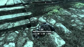 The Elder Scrolls V Skyrim Cheats  Console Commands [upl. by Rochester744]