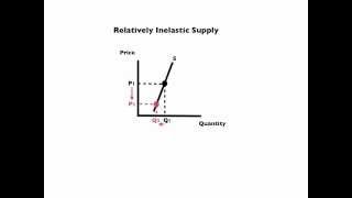 Elasticity and Its Application [upl. by Annelak954]