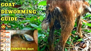 Simple Guide to Goat Deworming  Benefits of Liver Extract for Healthy Animals 🐐 🤠👍 [upl. by Darrell175]