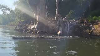 33 mile foat on the Gasconade River in Missouri [upl. by Neersan]