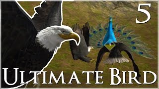 Pestering the Peacock Queen 🐦 Ultimate Bird Simulator  Episode 5 [upl. by Nahsar983]