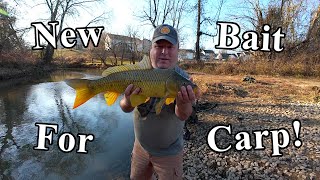 Catching Carp On A NEW Carp Bait And Method [upl. by Anaeda]