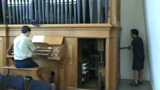 Handpumped Pipe Organ [upl. by Frasch]