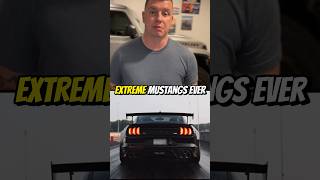 Ultra Rare Shelby GT500 Mustang Code Red shorts fordmustang ford [upl. by Ydnirb]