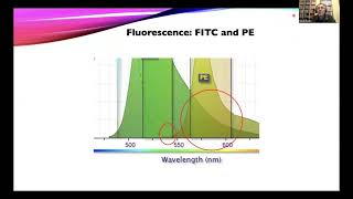 OpenFlow Multicolor Flow With Compensation Using a CytoFLEX LX [upl. by Konrad]