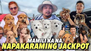 JACKPOT HALOS LAHAT  GROTTO PET MARKET UPDATE  OCTOBER 27 2024 [upl. by Murage]