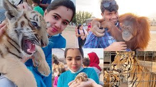 The Zoo Wild Life Park in umm al quwainzoo in UAEUmm al Quwain zooTravel with Achu [upl. by Mortimer]