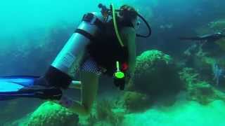 Scuba Diving in Big Pine Reef Florida Keys USA with Roxy 11 years old [upl. by Buote]