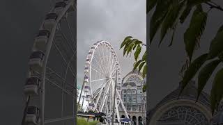 View of Antwerpen Central Train Station short shortvideo lovelygloinbelgium belgium [upl. by Ahsemat]