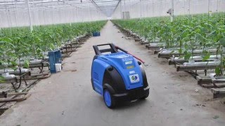 Stoomreiniger Optima tuinbouw  Verhagen Leiden [upl. by Namzzaj232]