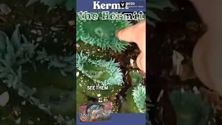 Sea anemones kidlit kidsvideo marinelife marinebiology sealife [upl. by Tadashi]