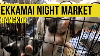 Ekkamai night Market [upl. by Budge]