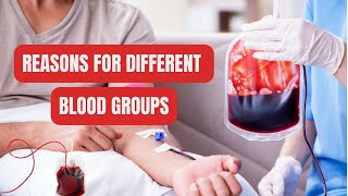 Reasons for Different Blood Groups [upl. by Farlie]