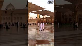 Hara Gumbad Jo Dekhoge  shorts arshiyanqadri [upl. by Etteve]