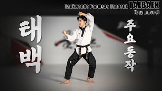 태권도 품새  태백 quot주요동작quot  Taekwondo Tutorial  Poomsae TAEBAEK quotkey movesquot [upl. by Wickham]