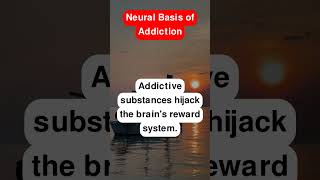 Neural Basis of Addiction [upl. by Kone]