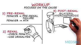 Acute Renal Failure How to approach ARF in 4 minutes with Robert Bell MD [upl. by Gensmer]