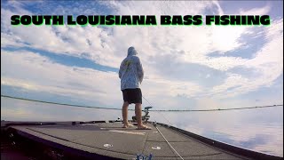 South Louisiana marsh bass fishing [upl. by Selinski]