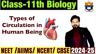 Types of circulation in Human being  Human Heart circulation class  Body Fluids and Circulation 11 [upl. by Pengelly]