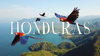 Honduras Travel Video  WANDR Roatan Copan Lake Yojoa Macaws and MORE [upl. by Ibed]