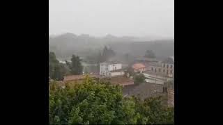 A tree destroyed by incredible lightning strike in Augé of DeuxSèvres France [upl. by Pelson124]