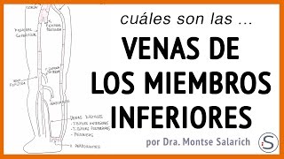 Las venas de los miembros inferiores [upl. by Gnuhc]