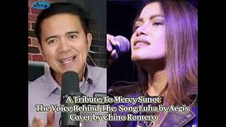 A Tribute To Mercy Sunot The Voice Behind The Hit Song Luha Aegis Version [upl. by Annaxor]