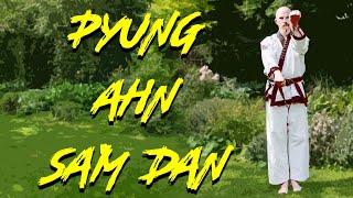 Pyung Ahn Sam Dan Peace and Safety Form 3  Tang Soo Do [upl. by Kauslick953]