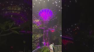 Supertree Light Show Singapore shorts supertreegrove gardensbythebay singapore [upl. by Aryt]