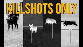 49 Hogs DOWN  Thermal Vision Wild Boar Hunting in Texas [upl. by Ikkir]