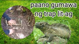 how to make effective trap ibid piliphines Sailfin lizard [upl. by Aneela276]