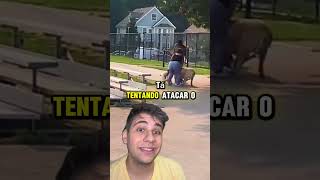 ‼️QUE PERIGO‼️ pets caes cachorro animaisdeestimação animaisengraçados remix react cao [upl. by Rosabella]