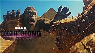 Godzilla amp Kong Fighting Scene in Egypt  Godzilla X Kong The New Empire [upl. by Patrice]