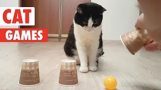 Cat Games  Playful Cats Video Compilation [upl. by Nations]