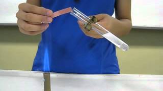 Ammonium ion test [upl. by Guadalupe]