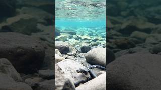 Bonaventure River Canadas Clearest Waters in Quebec viral water summer canada music nature [upl. by Basil]