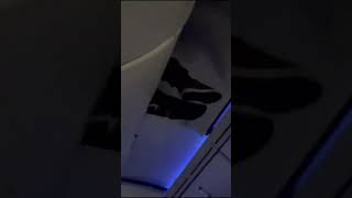 A PASSENGER is STUCK in the CEILING of the airplane because of Clear Air TURBULENCE shorts [upl. by Magocsi]