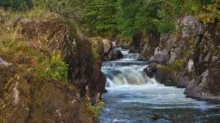 Cenarth Falls River Walk Newcastle Emlyn Ceredigion Wales [upl. by Verner]