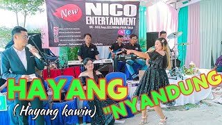 HAYANG KAWIN  WIN WIN HAYANG KAWIN  bajidoran nico [upl. by Fevre810]