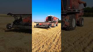 9720 White Combine Time to play farming [upl. by Filip]