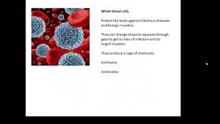 BTEC Applied Science Unit 1 Biology Specialised Cells [upl. by Tessie]