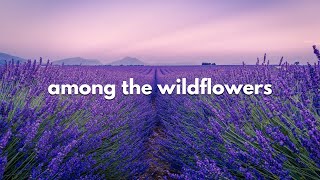 Among the Wildflowers  The Hotelier Lyrics [upl. by Nylisoj]