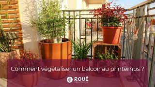 Comment végétaliser un balcon au printemps Roué Pépinières [upl. by Amorita]