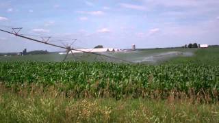 Irrigating corn fieldmp4 [upl. by Brothers]