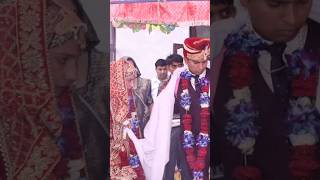 Sajan Sajan Teri Dulhan 🤩 bollywood song love shaadi jonysharmakanondiyavlog shorts short [upl. by Sardella]