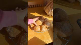 The easiest amp most delicious noknead bread rolls shorts [upl. by Bianchi]